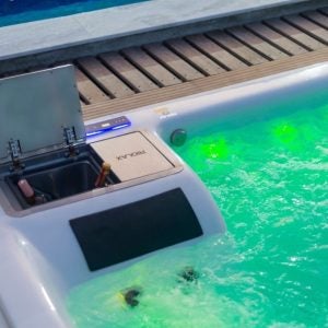 278934651 508354597690468 890690261558985885 n